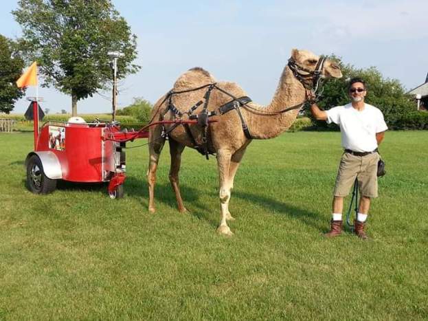 Our Tractor Wagon set up is available year round for entertainment rentals, event rentals, party rentals, and can be used for promotional needs like Chicago Parades!  Book Chicago Hayrides for your Corporate Events, Church Events, Company Parties