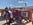 Chicago Hayrides © Event Rentals