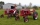Chicago Hayrides ©  | Entertainment Rentals - Event Rentals - Hayrides - Party Rentals - Wagon Rides - Parade Float Rentals