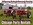 Chicago Hayrides ©  | Entertainment Rentals - Event Rentals - Hayrides - Party Rentals - Wagon Rides - Parade Float Rentals